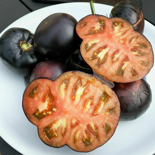 Giant Black Beauty Tomato