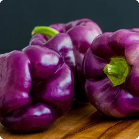 Heirloom Sweet Bell Pepper Seeds - 'Lilac'