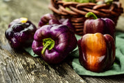 Heirloom Sweet Bell Pepper Seeds - 'Lilac'