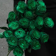 Eldorgua Green Rose Seeds