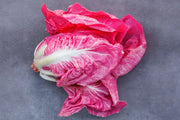 Mantovano Radicchio Seeds, Pink "Lettuce" Cichorium intybus