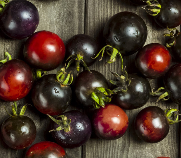 Midnight Snack Cherry Tomato Seeds