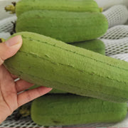 NEW 39%off🥰Luffa (Loofah) Sponge Seeds