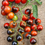 Midnight Snack Cherry Tomato Seeds