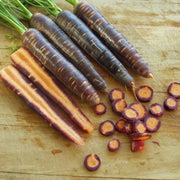 Purple Haze Hybrid Carrot Seed