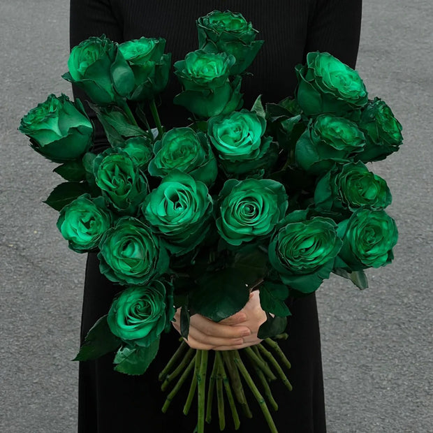 Eldorgua Green Rose Seeds