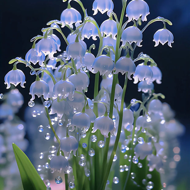 Up to 48%off❤️‍🔥lily of the valley(Convallaria majalis)seeds