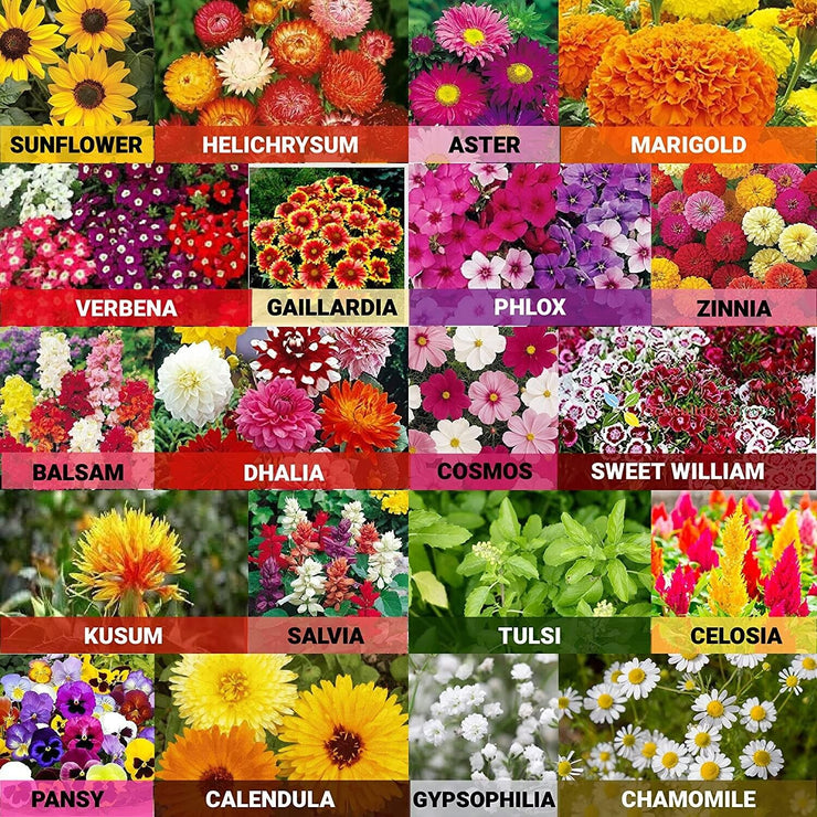 Premium Flower Seeds Package