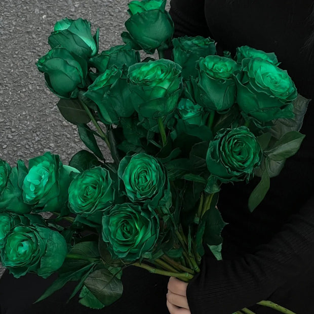 Eldorgua Green Rose Seeds