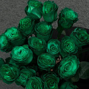 Eldorgua Green Rose Seeds