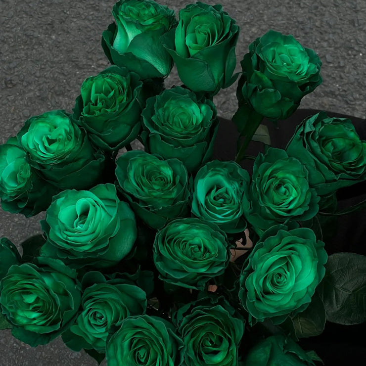 Eldorgua Green Rose Seeds