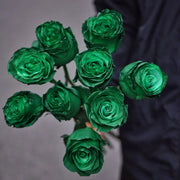 Eldorgua Green Rose Seeds