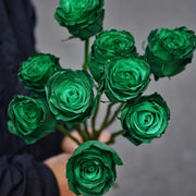 Eldorgua Green Rose Seeds