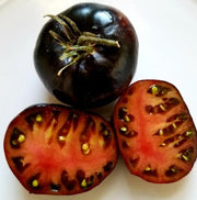 Giant Black Beauty Tomato