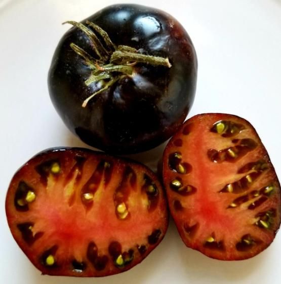 Giant Black Beauty Tomato