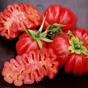 Tomato 'Pink Accordion'