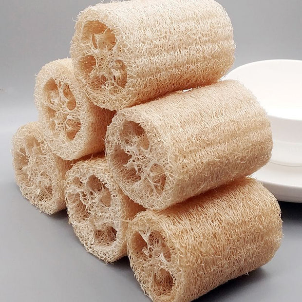 NEW 39%off🥰Luffa (Loofah) Sponge Seeds