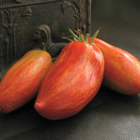 Striped Roman Artisan Tomato