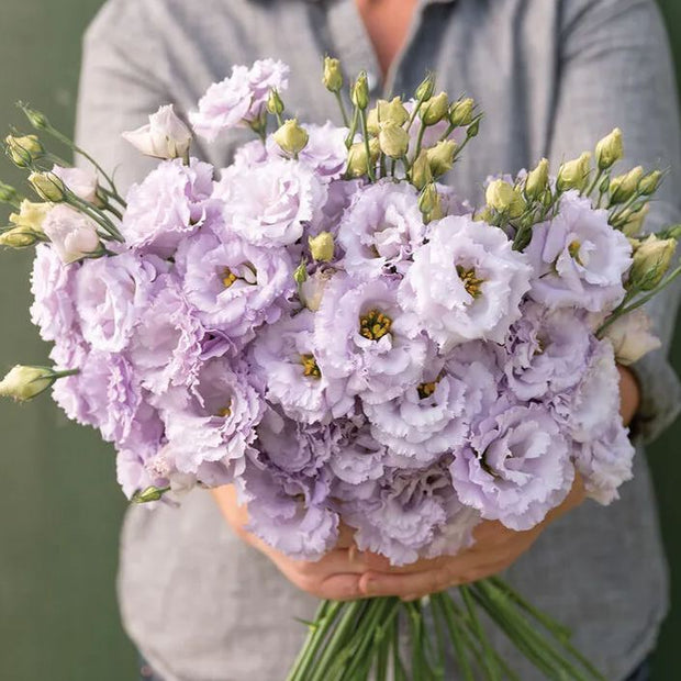💜New for Spring🥰Purple Lisianthus Seeds